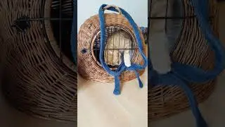 some cats open doors, this cat opens prisons.