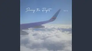 During the Flight