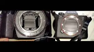Sony A77II vs A7IV 1/8000th of a second Full mechanical shutter at 500FPS