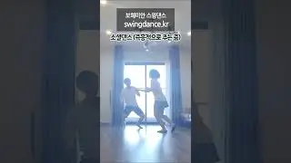 swingdance.kr 24/11/02 베트남 하노이 Scotch Pine Swing 01 #shorts #치유 #힐링 #동호회 #댄스 #취미 #커플댄스