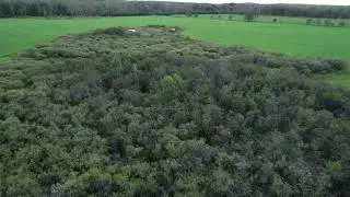 Sights and Sounds Drone Edition: Starling Migration