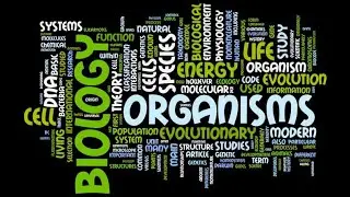 The fundamental unit of Life (Part-4)