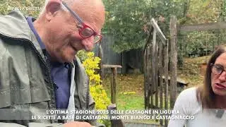 PRESA DIRETTA - L'ottima stagione 2025 delle castagne in Liguria, le ricette base di castagne: Monte