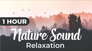 Cosmic Energy Flow Relax Music #MeditationMusic | JMA Wellness