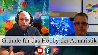 Gr&uuml;nde f&uuml;r das Hobby der Aquaristik - Interview mit Tim Stenzel