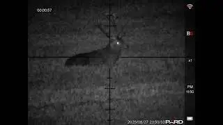 PARD NV007 SP2 LRF 2025.08.27