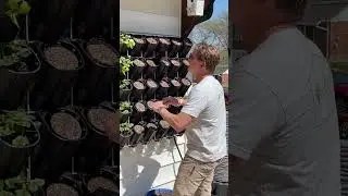 Adding Drip Irrigation to a Varden Sleeve Vertical Garden