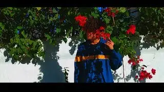 R.O.S.E.S. // Vincent Ayala (Video Oficial)