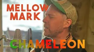 Mellow Mark - Cham&auml;leon (Acoustic Special - 25 Jahre Mellow Mark)
