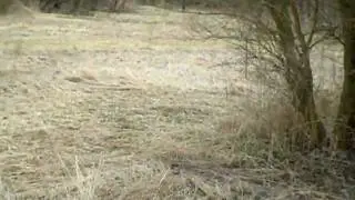 031410-069.avi