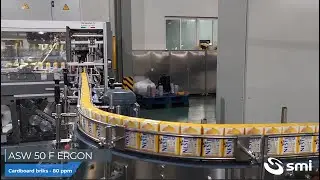 ASW 50 F ERGON packer