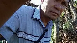 REGULAR ACTIVITIES KO SA AKING PECHAY PLANTATION.
