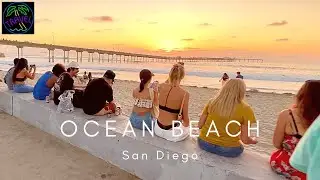 🇺🇸 Scenes from Ocean Beach