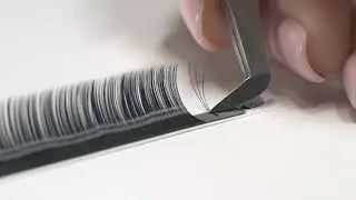 2D, 3D, 4D & 5D Lash Fans - By LashBase