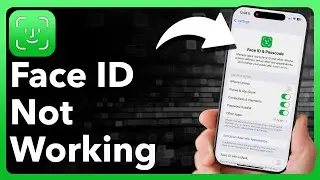 How To Fix Face ID Not Working On iPhone