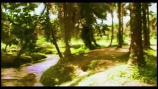 BEAUTIFUL AFRICAN PARADISE
