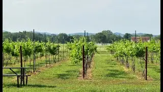 Winery Tasting room for sale in Texas Hill Country at 11157 US Highway 290 Hye TX
