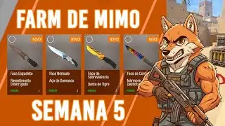 Projeto Opera&ccedil;&atilde;o Mimo Semanal #05 | Semana 5 rumo &agrave; FACA&hellip; estamos perto?