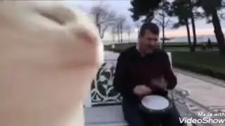Funny Cat Dancing To Ivan Polka and Bilal Singing