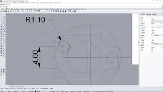 Rhino Exercise