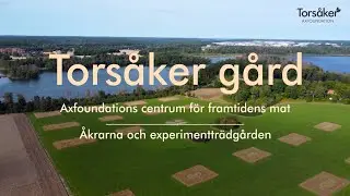 Tors&aring;ker g&aring;rd - &Aring;krarna och experimenttr&auml;dg&aring;rden