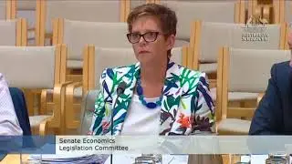 BANKS BEHAVING BADLY & BAIL-IN LAWS | Pauline Hanson questions APRA