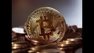 Bitcoin Bips: SCAM ALERT. I lost $9000 in Bitpetite. BITSOLID is next!!