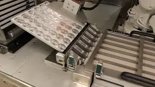 Auto Tuber - Bullion Packaging