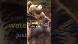 Don&rsquo;t go chasing waterfowl 🦆 (🎥 via msloopyloop on TT), #shorts
