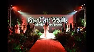 Big Cat Walk (Runway Strut) | African Fashion Vibes | Afro Runway Music