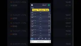 Pocket Option Copy / Social Trading Results