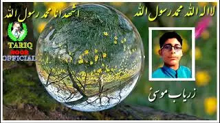 Zaryab musa balochi stutus
