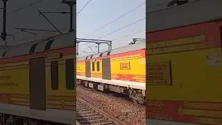 12409 Raigarh Hazrat Nizamuddin Gondwana Express #shorts