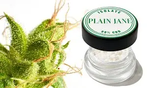 Isolate CBD Oil: What is it and What are the Benefits?
