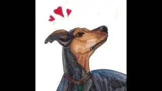 Update, Publication, a New Series, and a Dog Story...