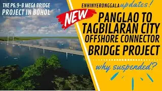 NEW PANGLAO TAGBILARAN BRIDGE Project Update 2021