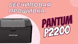 Как установить бесчиповую прошивку на Pantum P2200/P2206/P2207