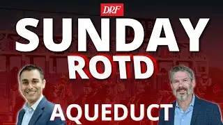 Awad Stakes at Aqueduct | DRF Sunday Race of the Day | November 9, 2025