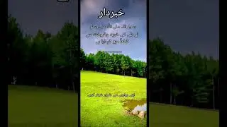 Islamic quotes