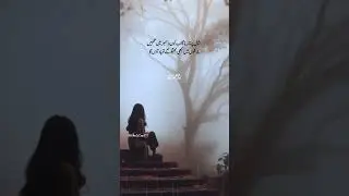 December romantic poetry | December status | دسمبر شاعری | December status | wasi Shah poetry |