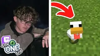 I Finally Got a New Pet on The OESMP!