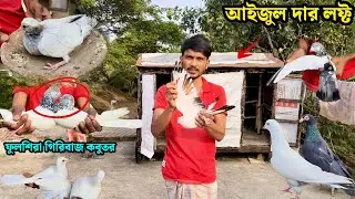 আইজুল দার লফ্ট | ফুলশিরা গিরিবাজ কবুতর | PIGEON LOFT OF AJIJUL FROM TALDI