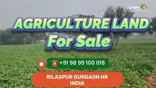 AGRICULTURE LAND FOR SALE GURGAON HR INDIA ☎️ +91 98 99 100 018