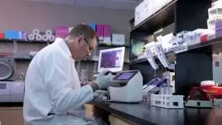 Live and dead cell counting