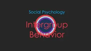 7. Intergroup Behaviour - 2022