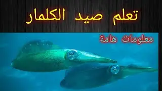 تعلم صيد الحبار . المعدات اللازمة لصيد الكلمار .