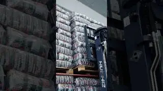PROCESSO DE LOGISTICA E CARREGAMENTO - CALDAO ALIMENTOS