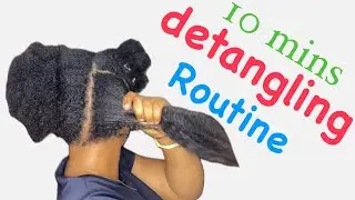 HOW TO : Detangle THICK, DRY + MATTED with Zero BREAKAGE | Finger Detangling | Type 4a 4b 4c HAIR