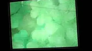 Marble Mania (Stages 1-10)