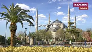Istanbul, visita alle meraviglie della Moschea Blu